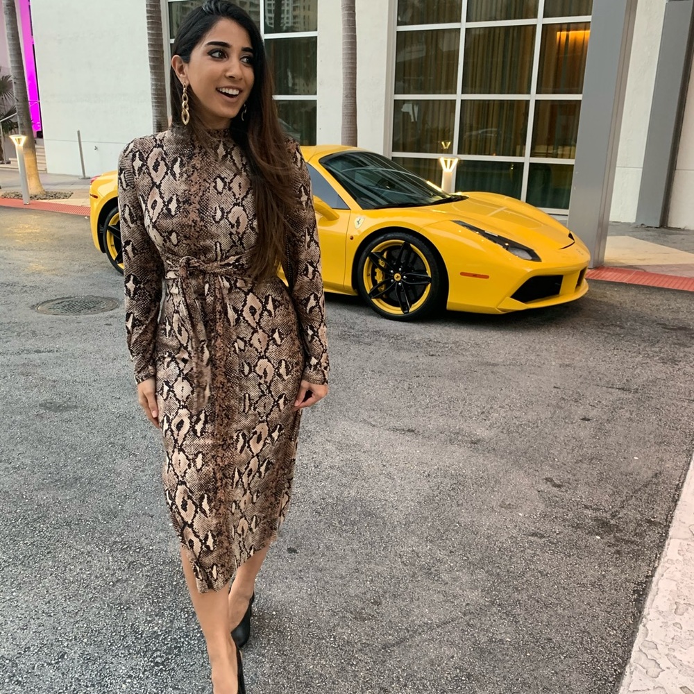 Snake Print Sweater Knit Leg Slit Dress